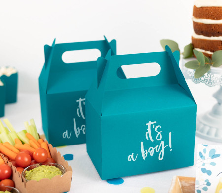Boîte Pique-Nique en Carton pour Cadeaux