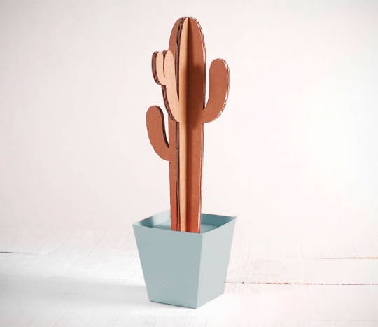 Grand cactus avec un pot en couleur