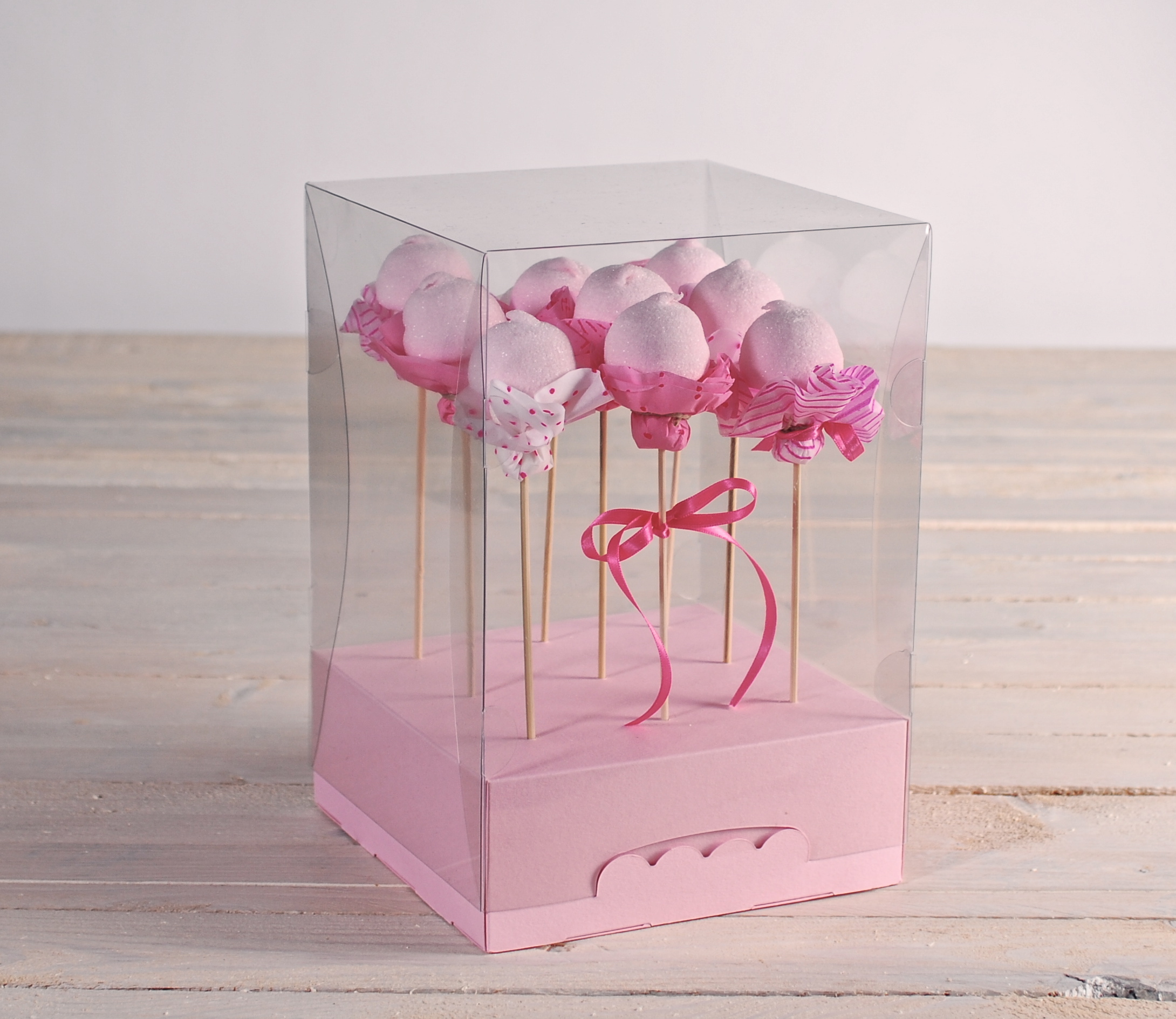 SelfPackaging: boîte transparente à cake pops ref. 2256_L
