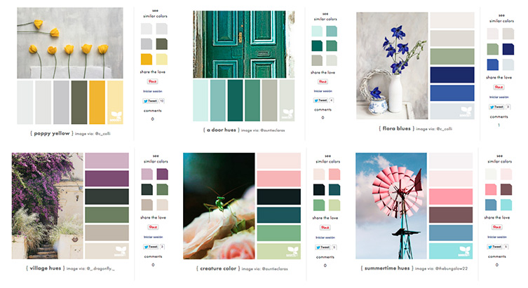 Design seeds sites internet gratuits pour créer vos palettes de couleurs