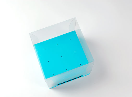 Boîte à cake pops en carton 