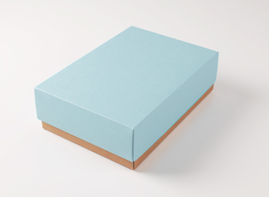 Boîte carton  à chemises