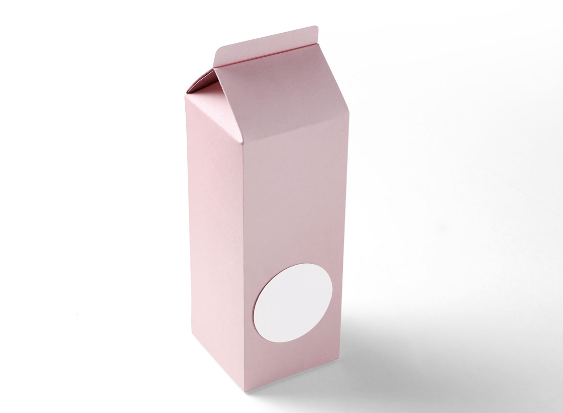 Boîte cadeau en forme de TetraBrik 
