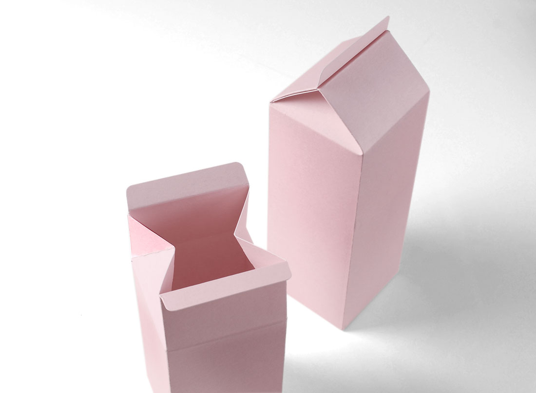 Boîte cadeau en forme de TetraBrik 