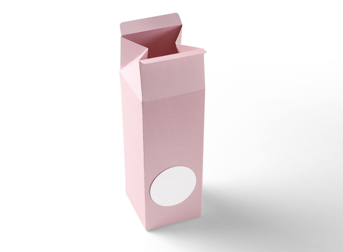 Boîte cadeau en forme de TetraBrik 