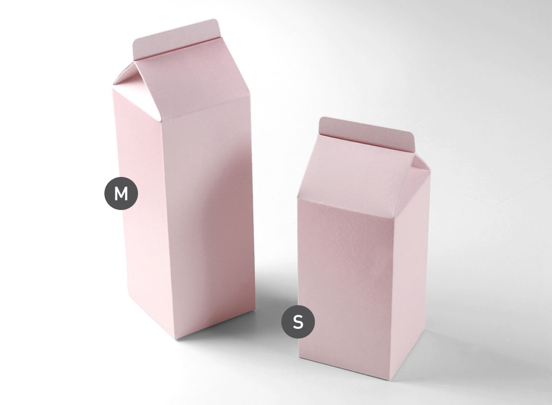 Boîte cadeau en forme de TetraBrik 