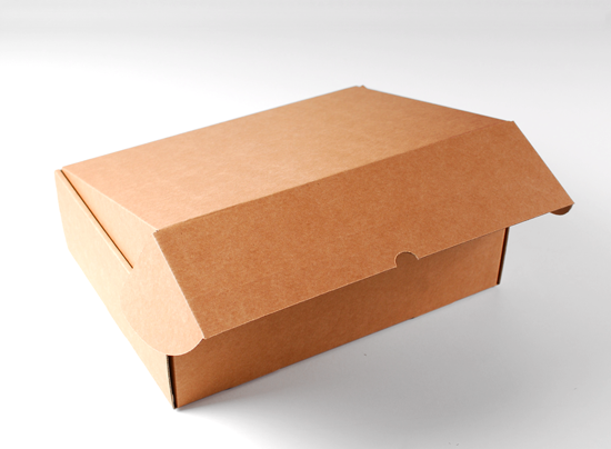 Boîte-mallette en carton avec poignée en plastique