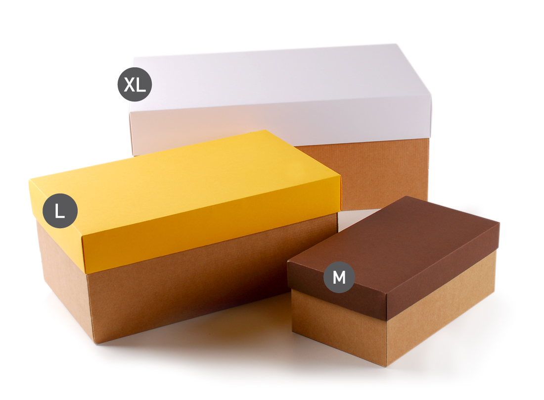 Boîte à chaussures en carton