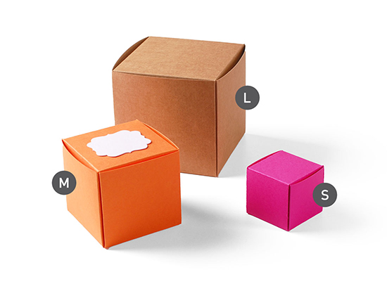 Boîte carton pour des crèmes cosmètiques