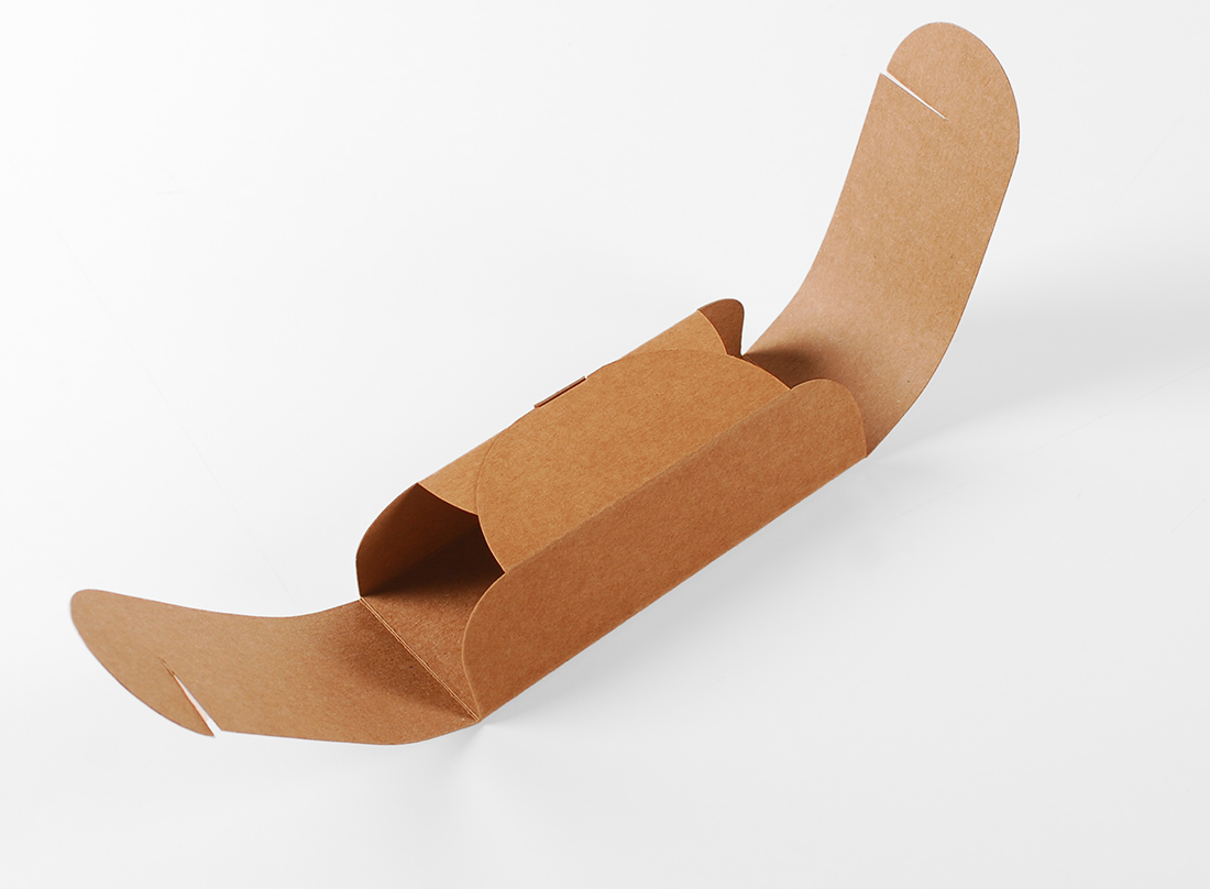 Boîte en carton élégante pour sushis